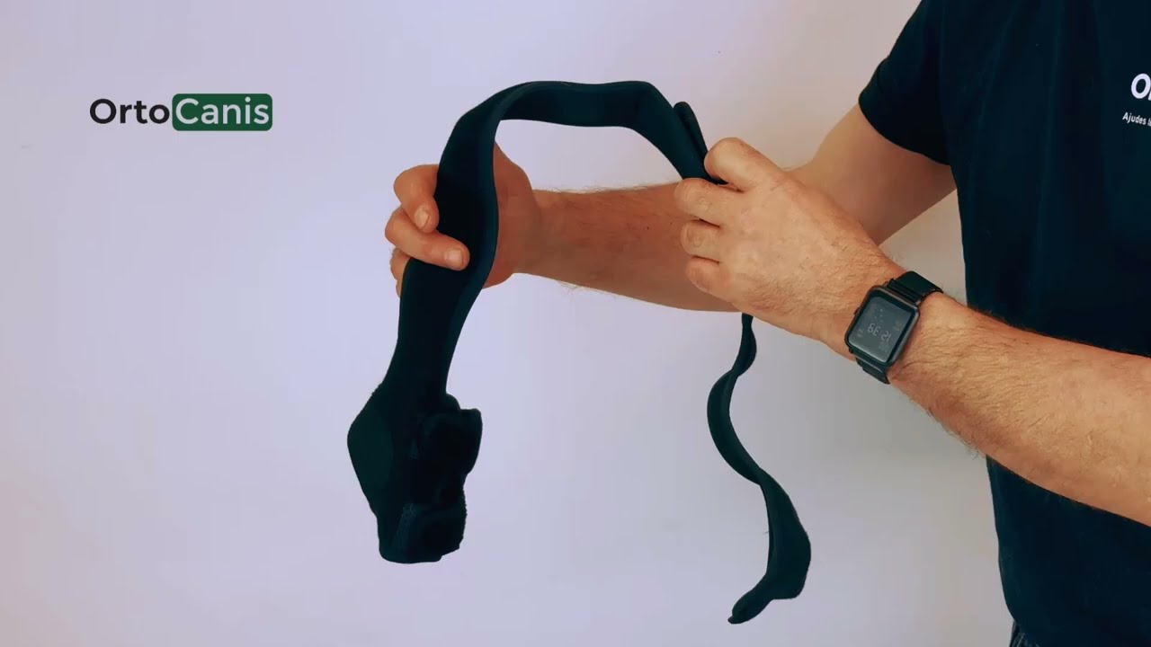 ✅ Protector de codo para perro Ortocanis
