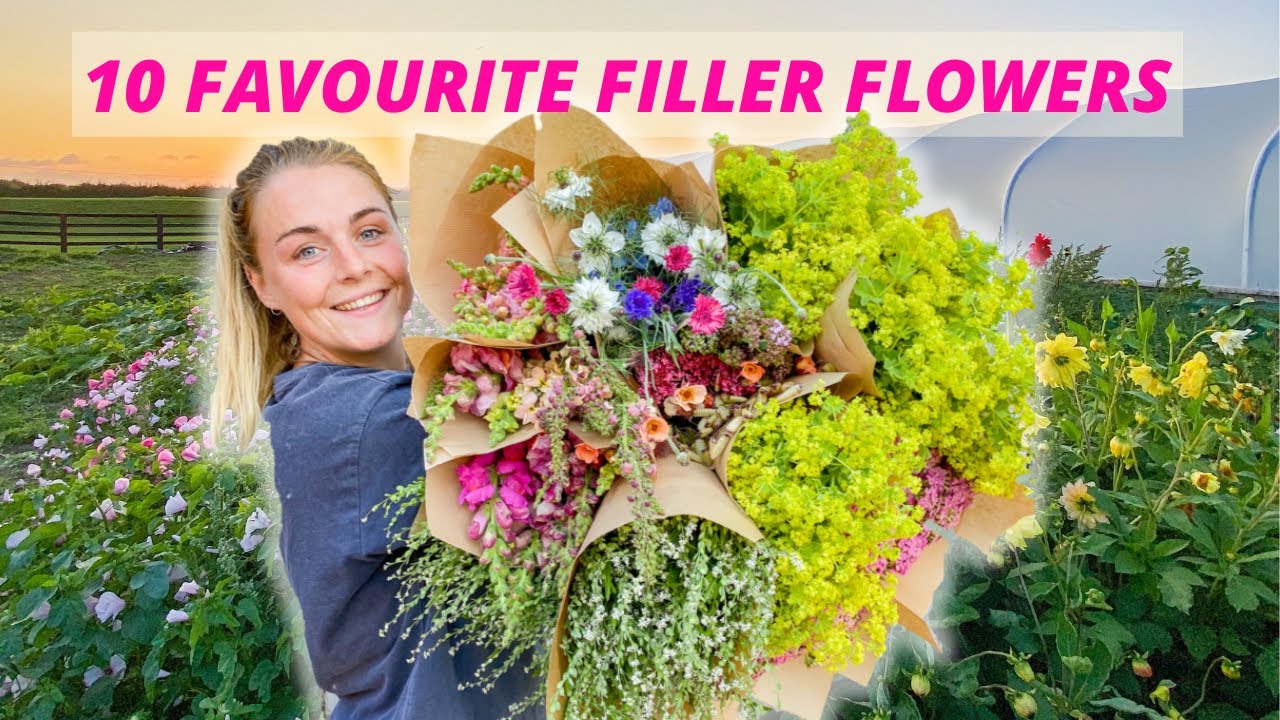 My 10 Favourite FILLER FLOWERS on the flower farm 🌸