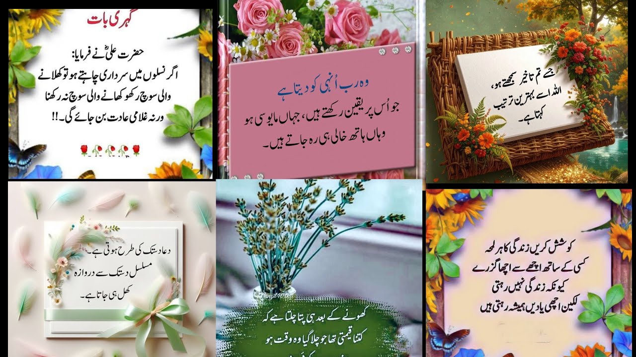 Motivational urdu iqwaly zaree| urdu quotes| islamic true lines|life changing quotes|Nishat-e-fikr.
