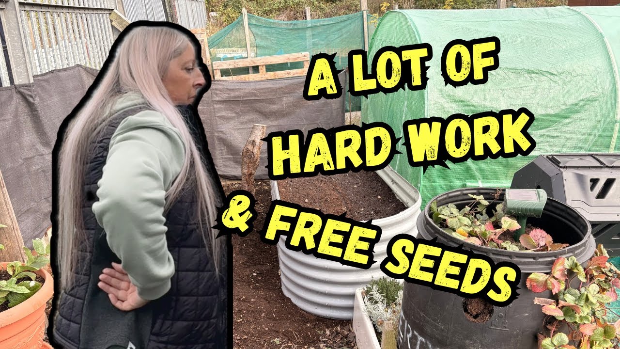 Новая зона отдыха на участке и БЕСПЛАТНЫЕ СЕМЕНА!!!