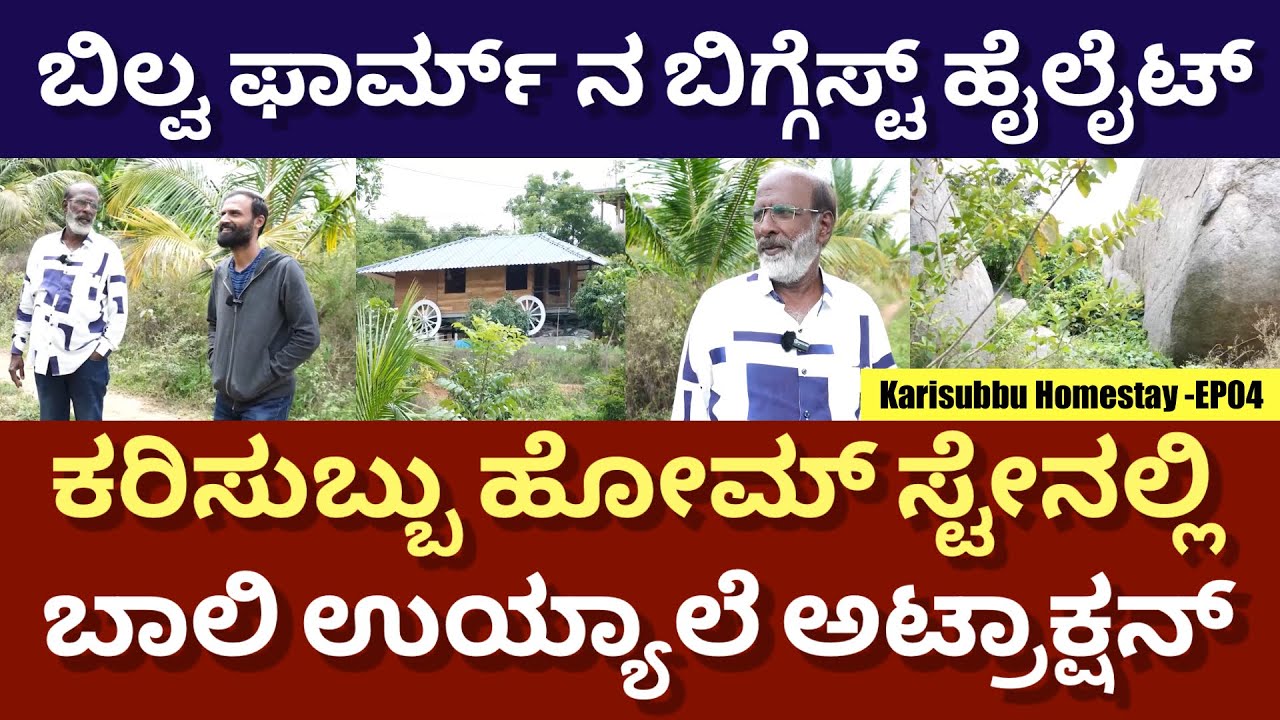 ಹಸು, ಕುರಿ, ಕೋಳಿ ಸಾಕಣೆ, ಪಕ್ಕಾ ಹಳ್ಳಿಯ ವಾತಾವರಣ | Karisubbu’s Bilwa Homestay -EP04 | @DailyMadhyama 