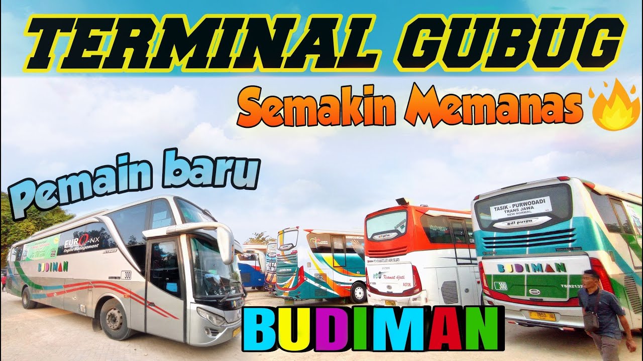 Terminal Gubug semakin rame, Budiman road Tes line Purwodadi