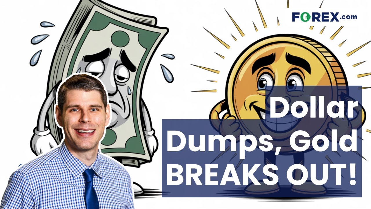 USD Falls, Gold and JPY Surge to Start December | Daily Market Update, December 1 2025