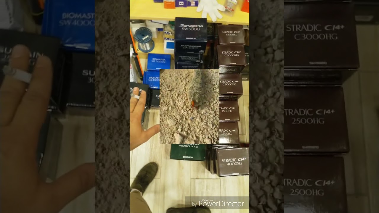 الهيرالشرقي