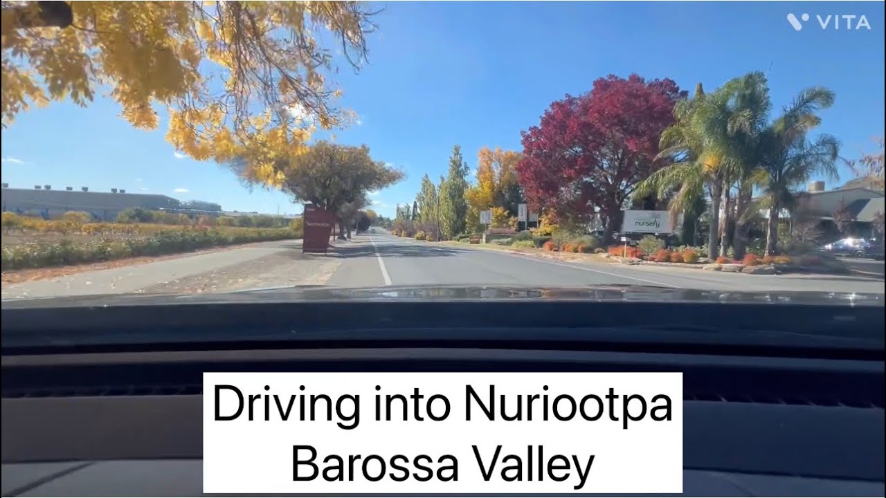 Cruising with Sam, driving into Nuriootpa, Barossa Valley, South Australia