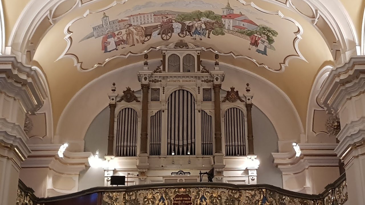 Organowy Kwadrans odc. 66