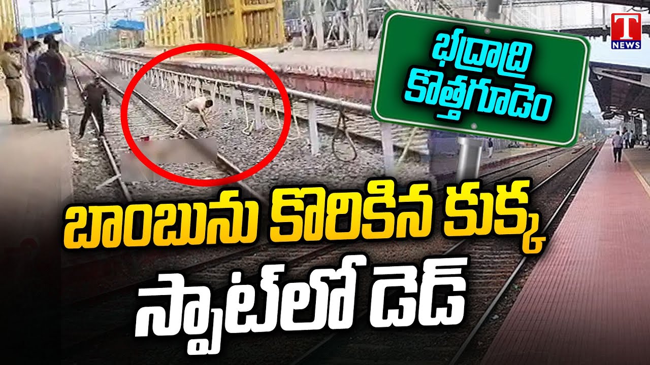 Bhadradri Kothagudem : రైల్వే స్టేషన్&zwnj;లో పేలిన బాంబు.. స్పాట్&zwnj;లో కుక్క మృతి | T News