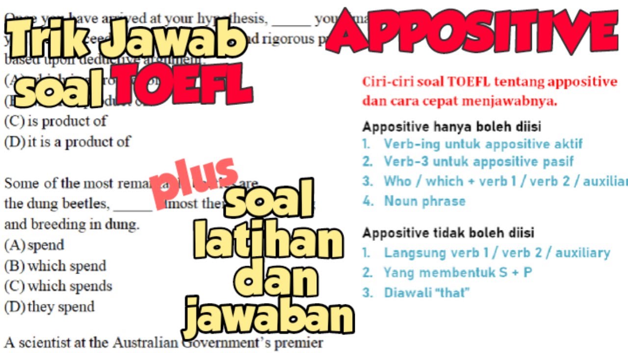 TRIK Mengerjakan Soal Appositive TOEFL Jika Tidak Tahu Arti Soal + soal latihan dan jawaban