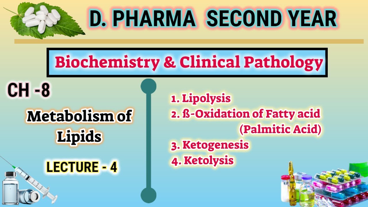 Lipid metabolism | CH-8 | L-4 | Biochemistry and clinical pathology | D.Pharm second year