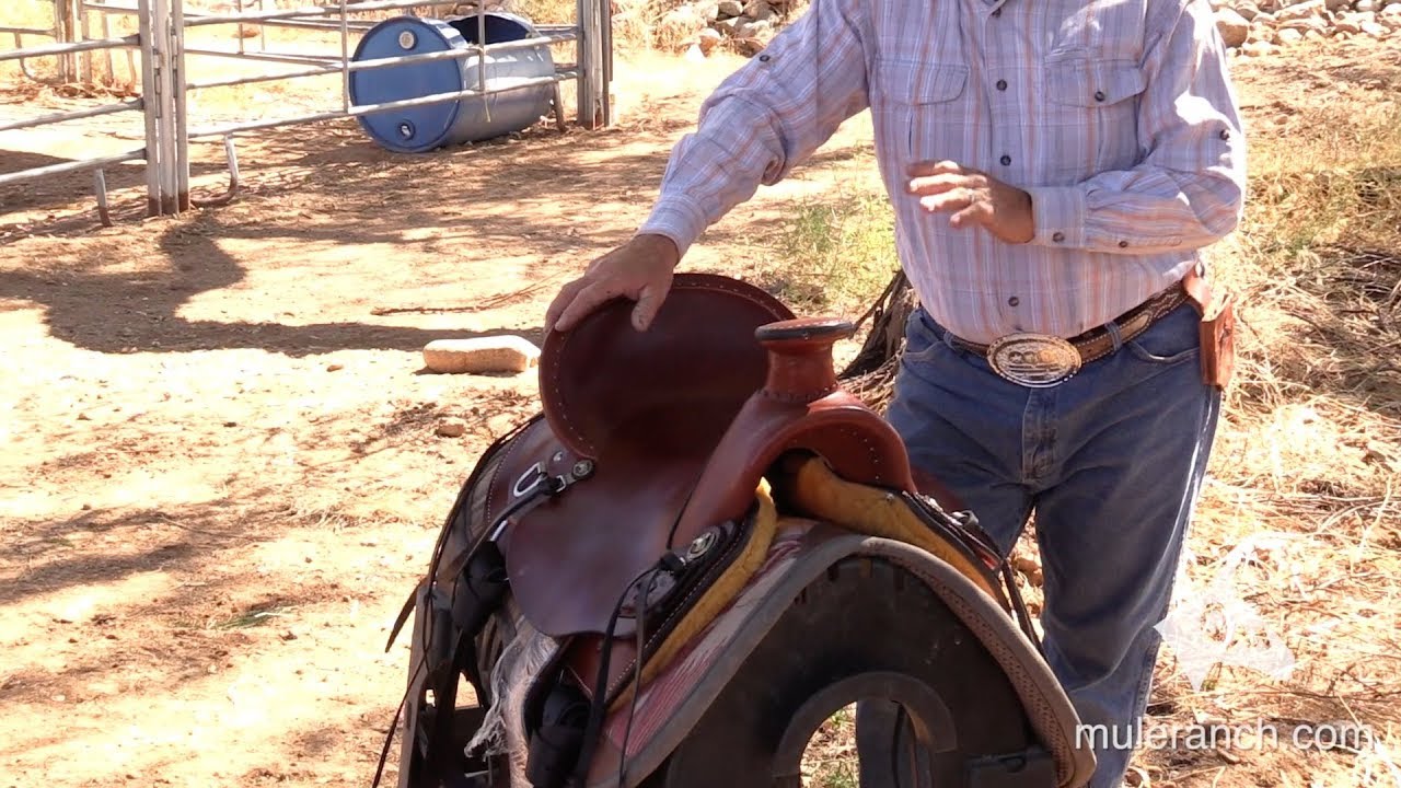 The Rancher Saddle for Mules and Donkeys