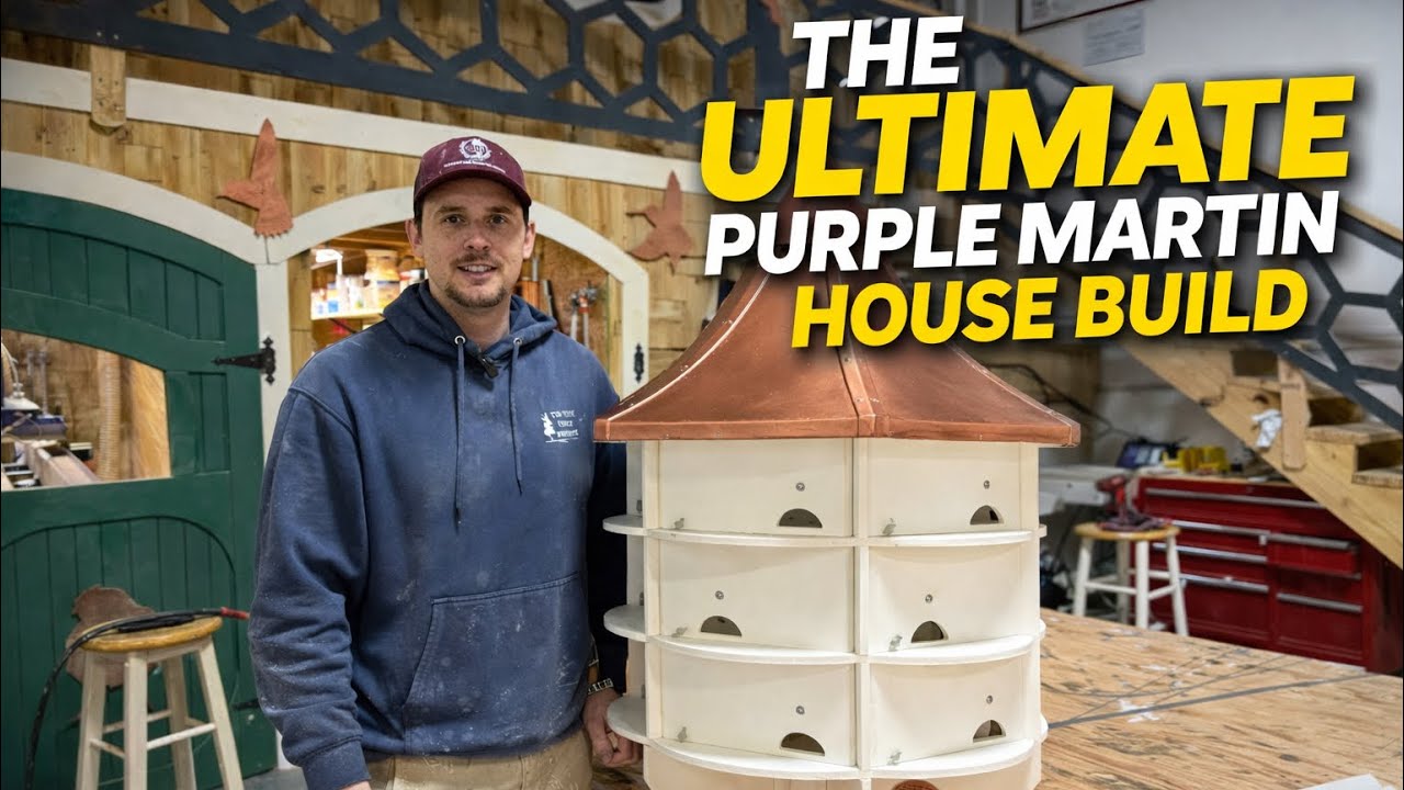 18-Compartment Purple Martin House | Quick Walk Around