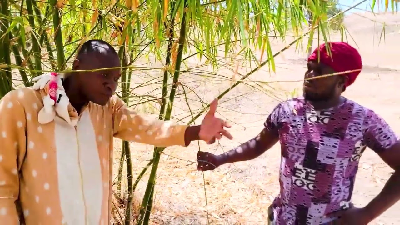 TITATO #8 | Nazwel lage Mèt Asosi nan mawon