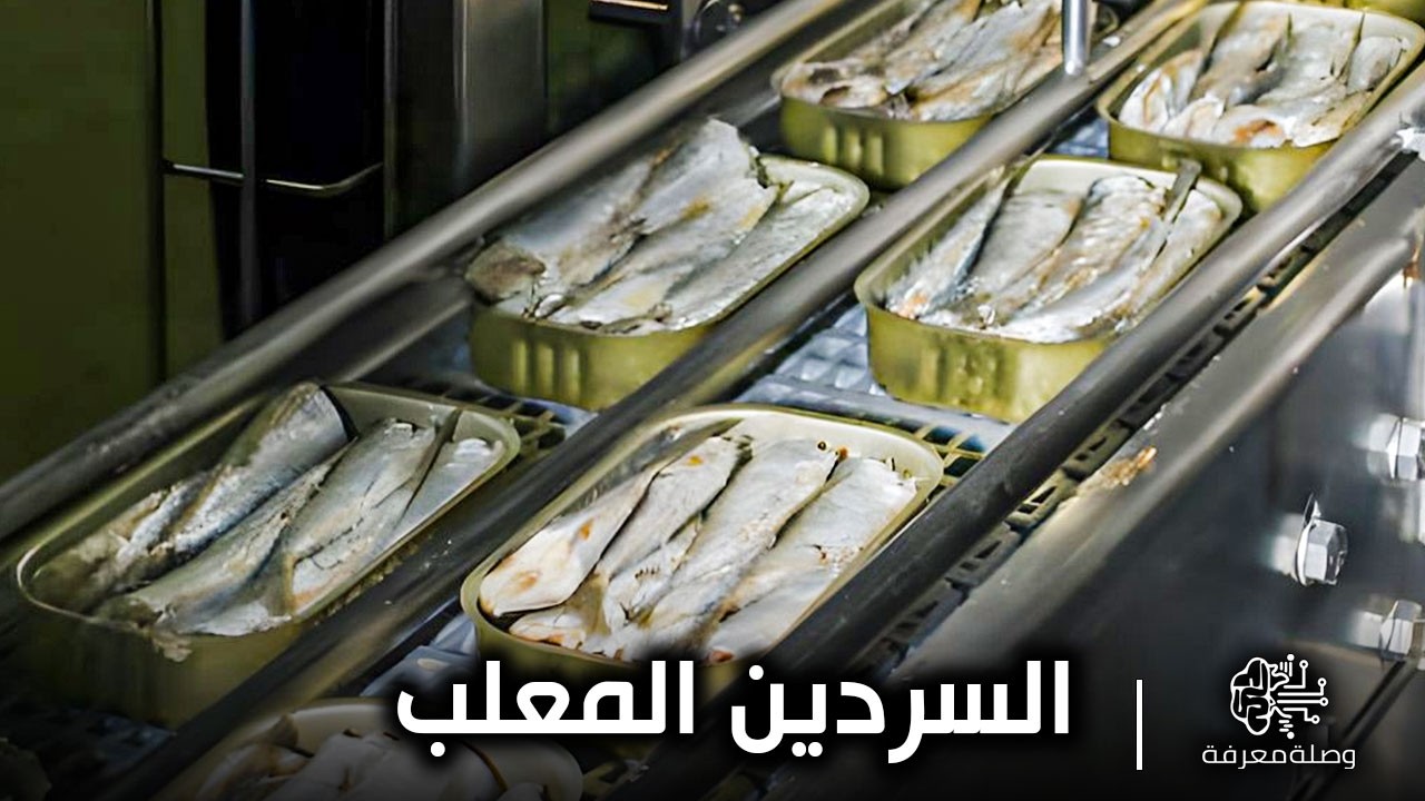 إنتاج وتحضير 30 الف علبة من السردين يوميا | جولة داخل اكبر مصانع للأسماك المعلبة