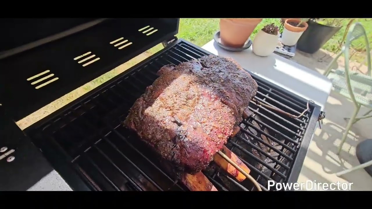 Asmoke as350 Beef short ribs ABSOLUTELY DELICIOUS 😋