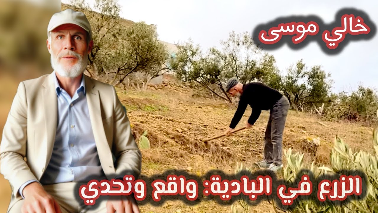 الزرع في البادية: واقع وتحديإ خالي موسى 