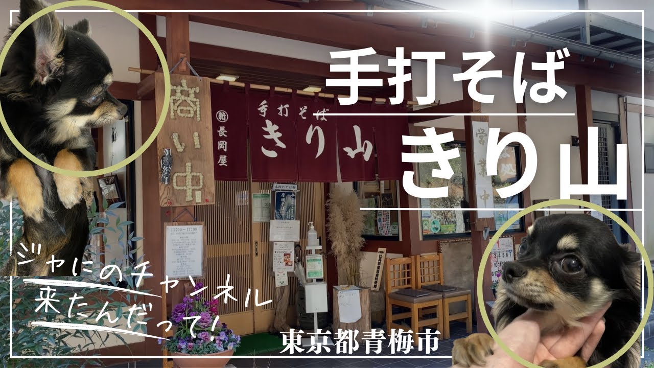 ジャにのちゃんねるも食べに来た！！【手打そば きり山】に行ってきたよ♪