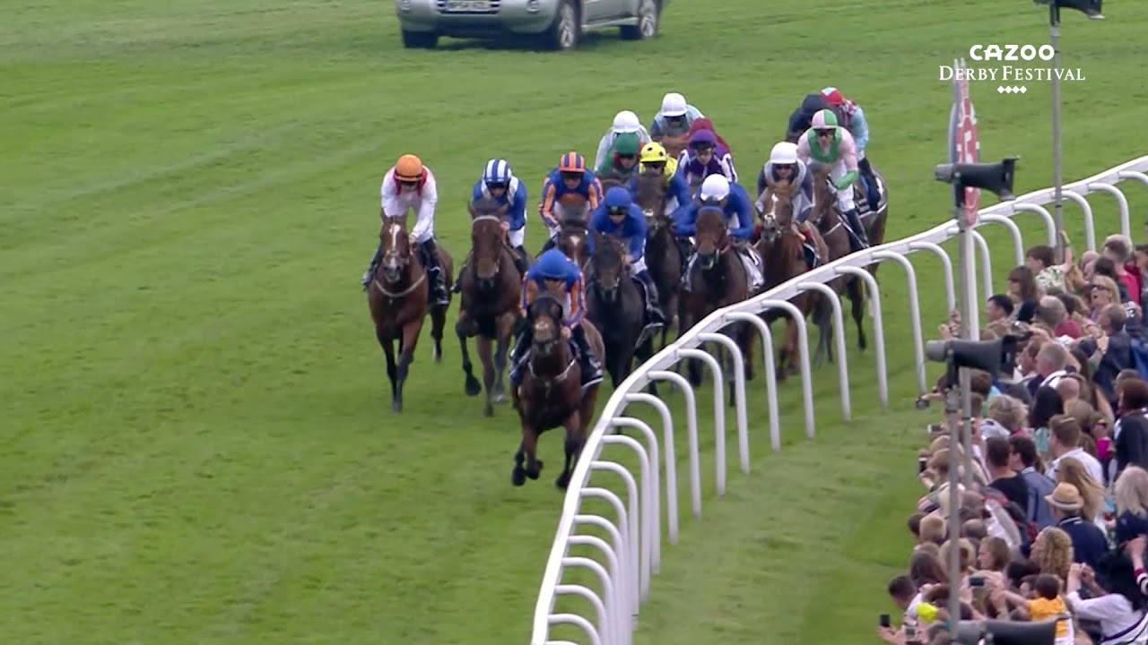 Harzand | 2016 | The Derby