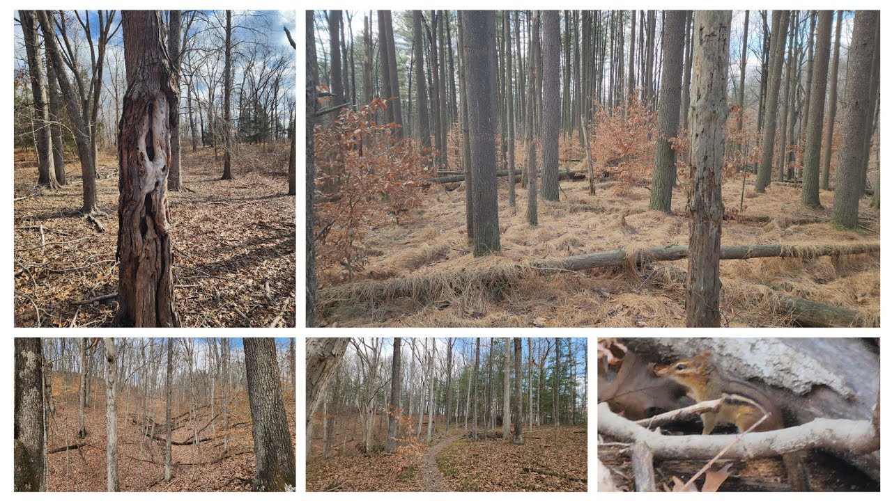 Pate Hollow Trail Hike. Hoosier National Forest, Indiana