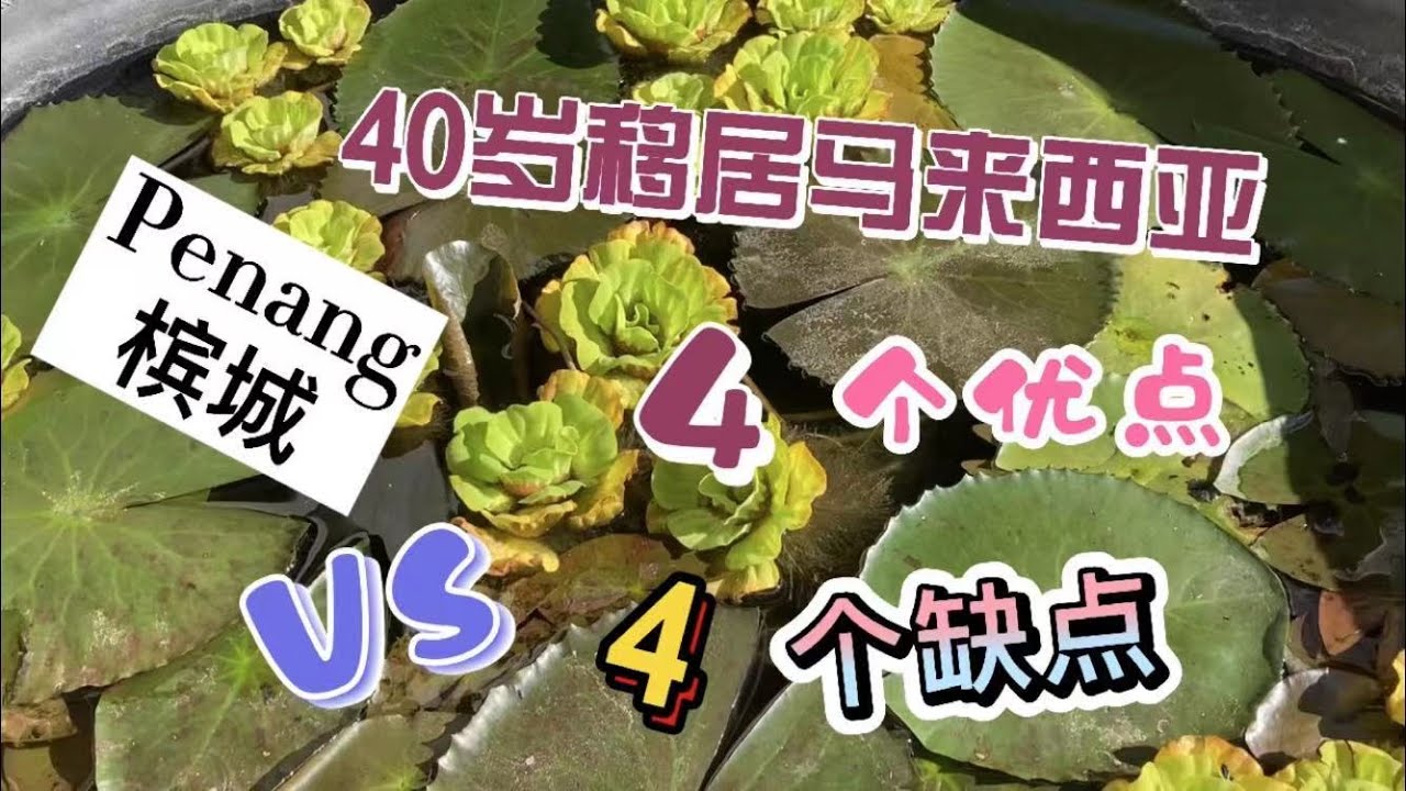 21、40岁移居马来西亚，我感受到这4个优点和4个缺点。❤️马来西亚生活纪实❤️第21期