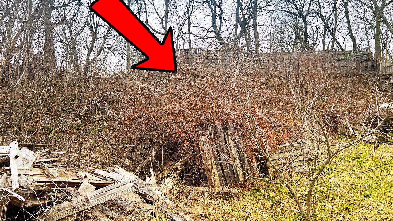Her Neighbors TRASHED IT! STUNNED with What we FOUND BURIED in this Overgrown Grass
