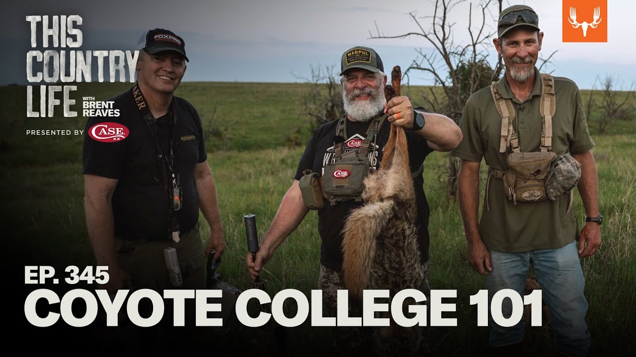 Kansas Coyote College 101 | This Country Life with Brent Reaves Ep. 345