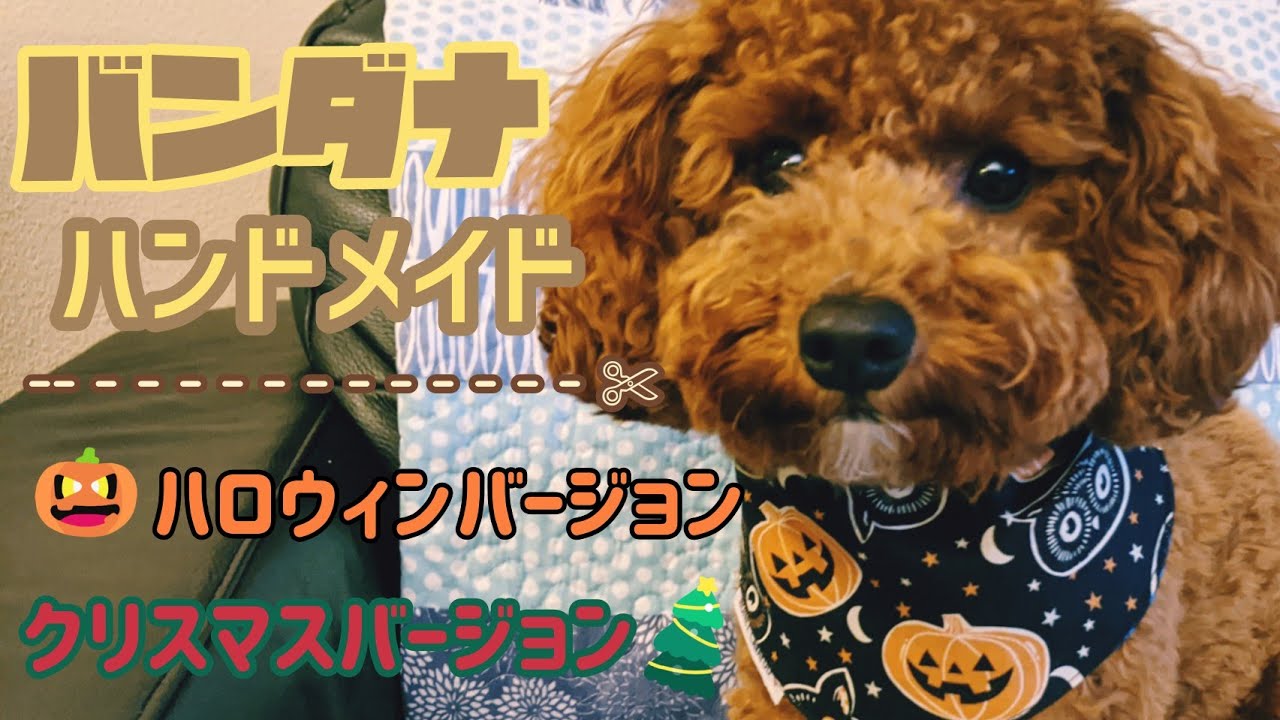 #56 犬用バンダナを手作りしました。