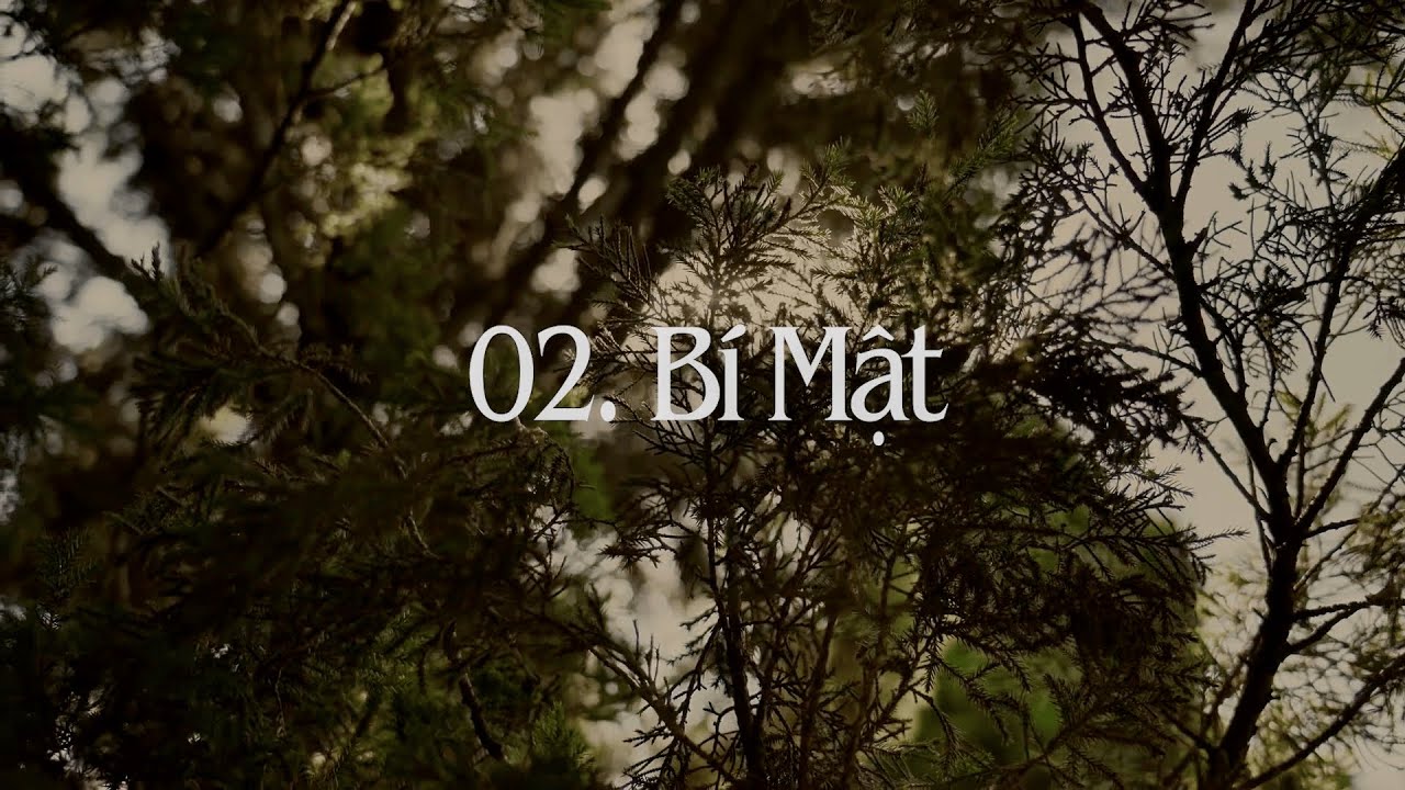 Vũ Thanh Vân - Bí Mật (Official Lyric Video) | Album 