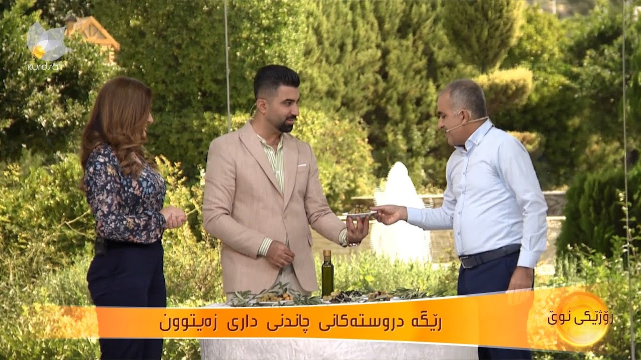 رێگە دروستەکانی چاندنی داری زەیتوون