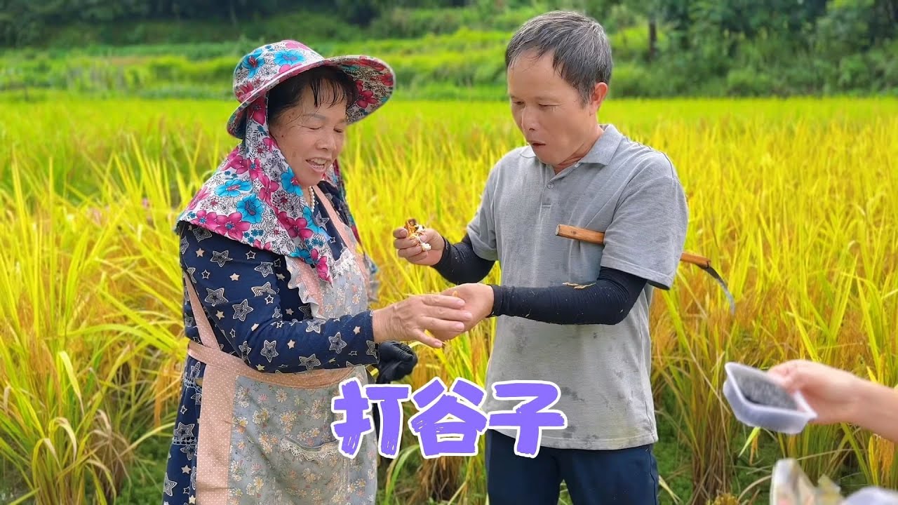 家里收稻谷了，还好有叔叔全力帮忙，秋子给公公买了块五花肉