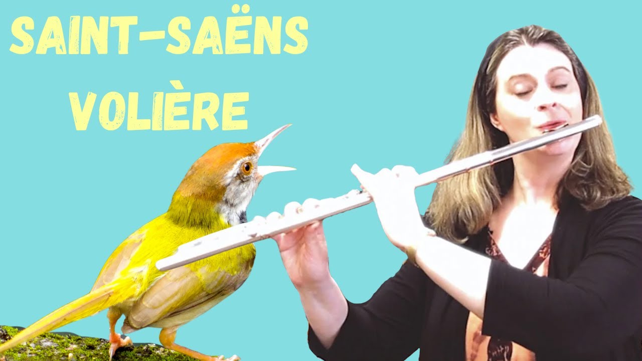Best Double Tongue EXCERPT Practice - Saint-Saëns Volière - Flute Tube, Episode 80