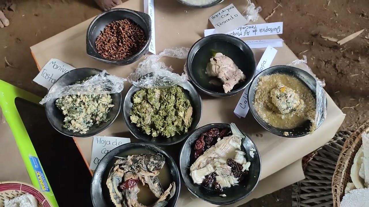 Gastronomía Vaupés