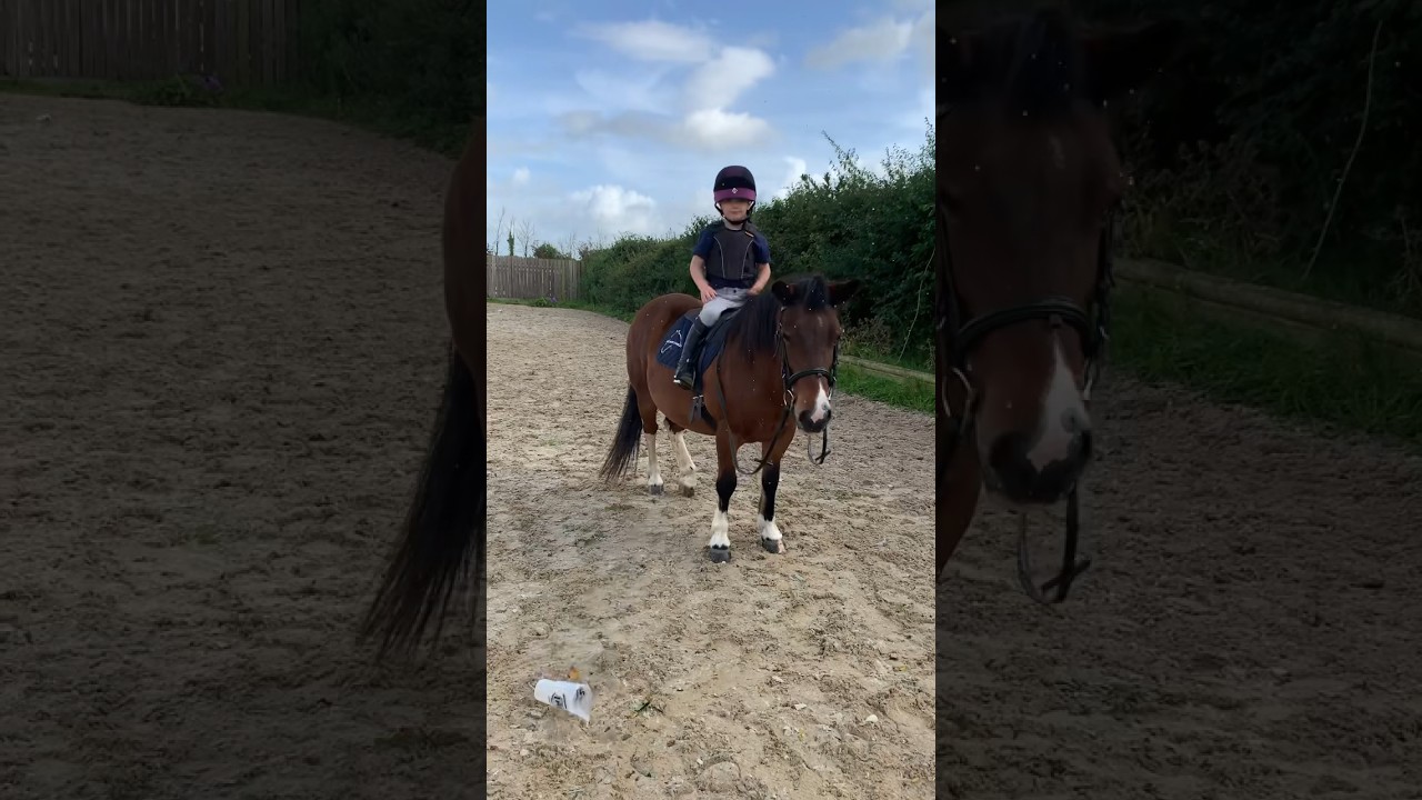 Bentley vs Shetland, which would you choose? 😏 #bentleyparody #shetlandpony #pony #equestrian