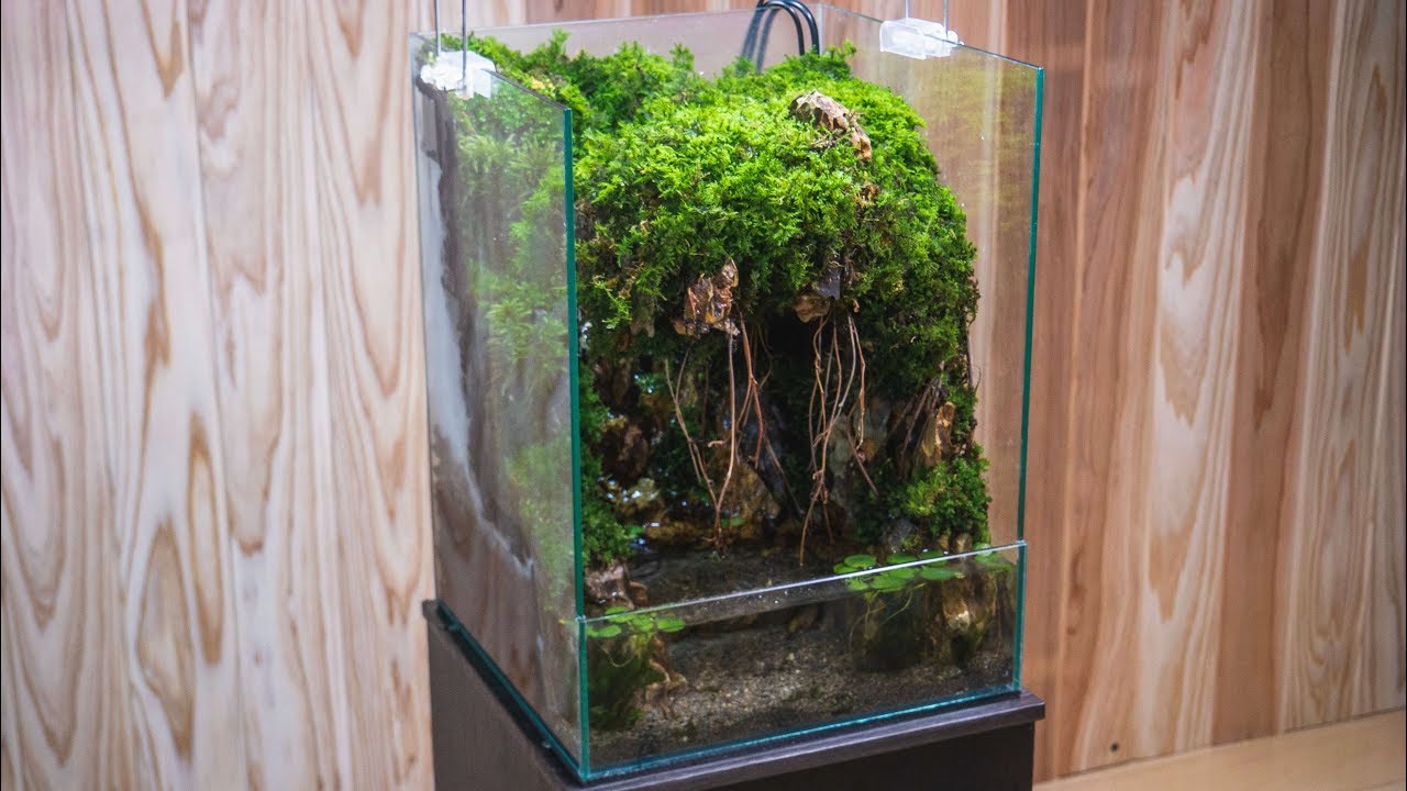 Making a Jungle with waterfalls flowing through