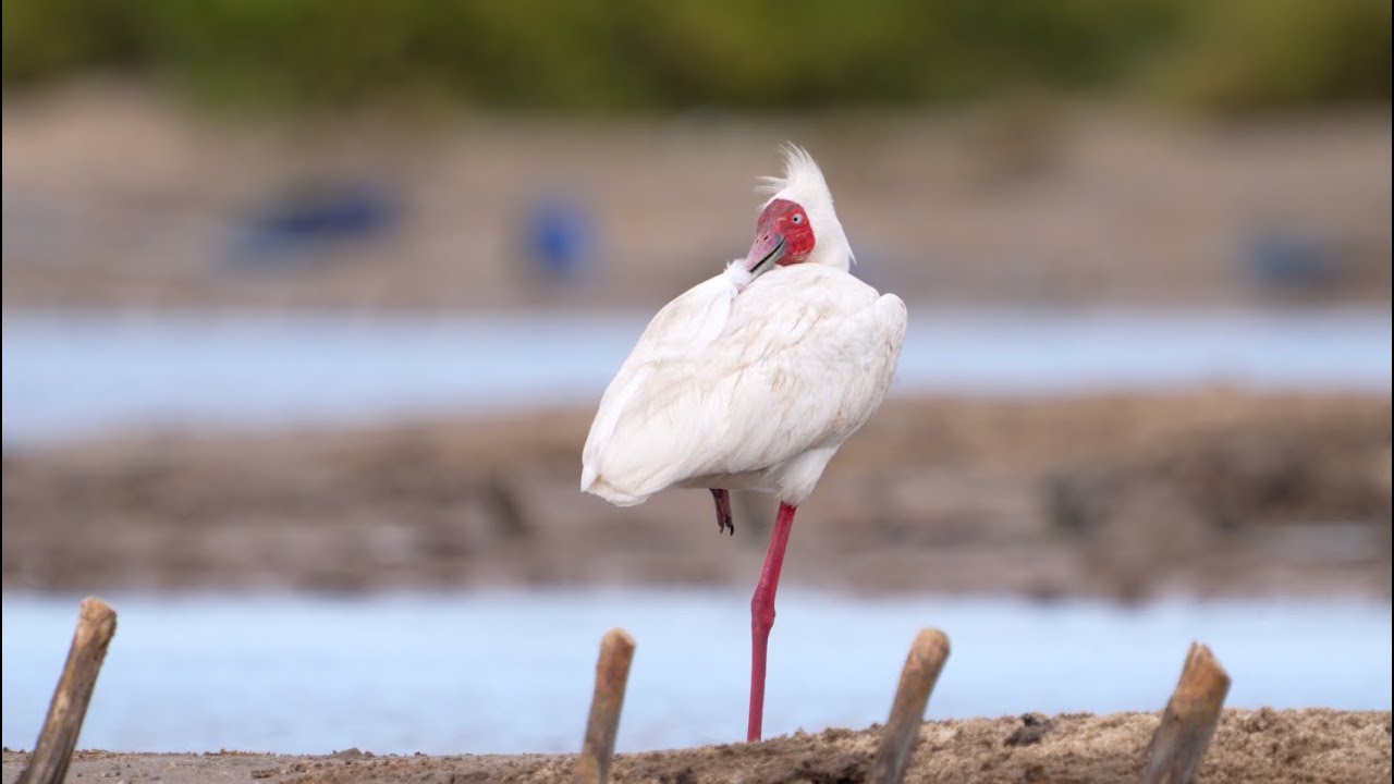 Kunduchi Salt Flats (REEL) - Adrien Ponsard