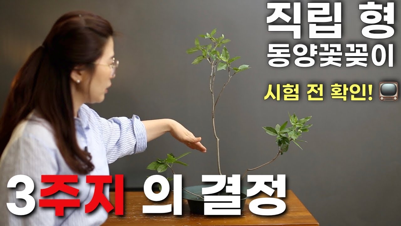 화훼장식기능사 실기 3과제 '직립형' 동양꽃꽂이 (꿀팁 대방출)