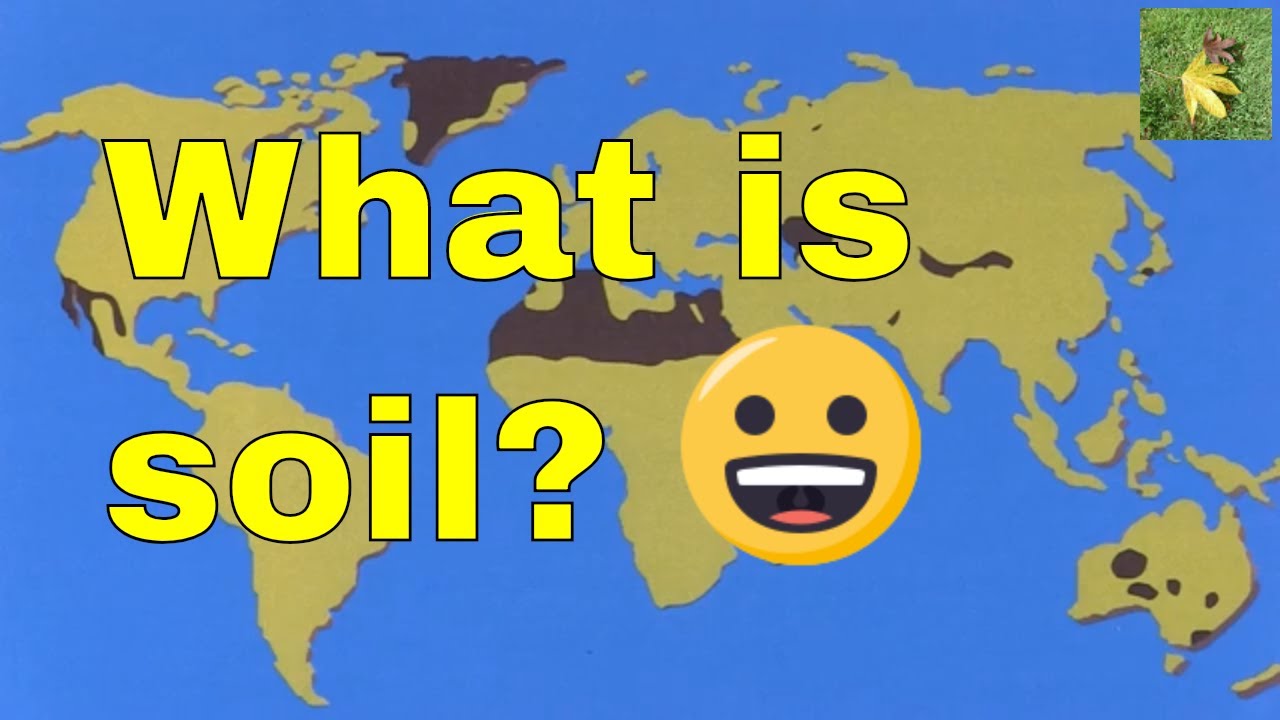 Soil: What is soil? What is soil erosion and degradation?
