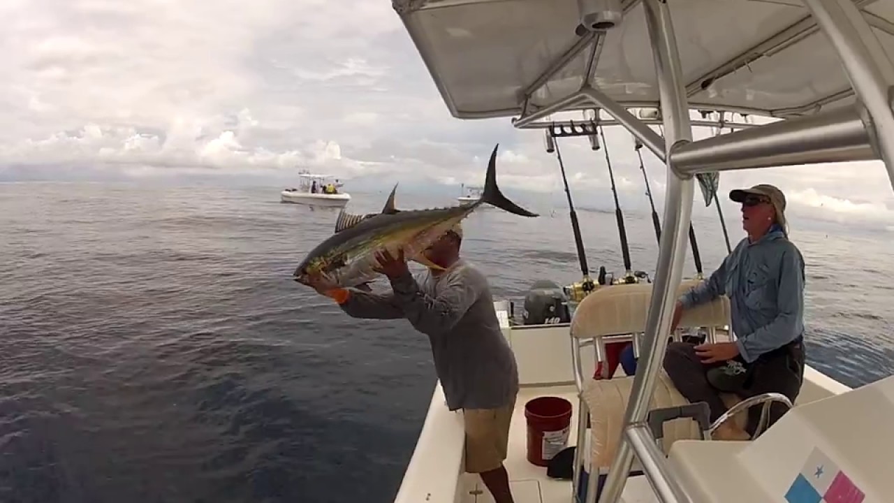 Saltwater Fishing for Yellowfin Tuna in Panama |  Pesca Panama | Pacific Ocean