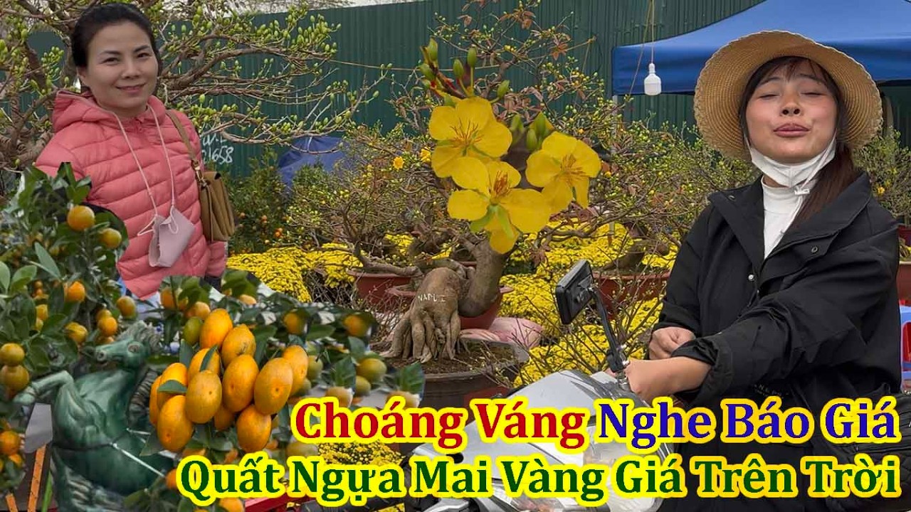 Я была шокирована заоблачными ценами на желтые абрикосовые цветы и деревья кумквата на весеннем ц...
