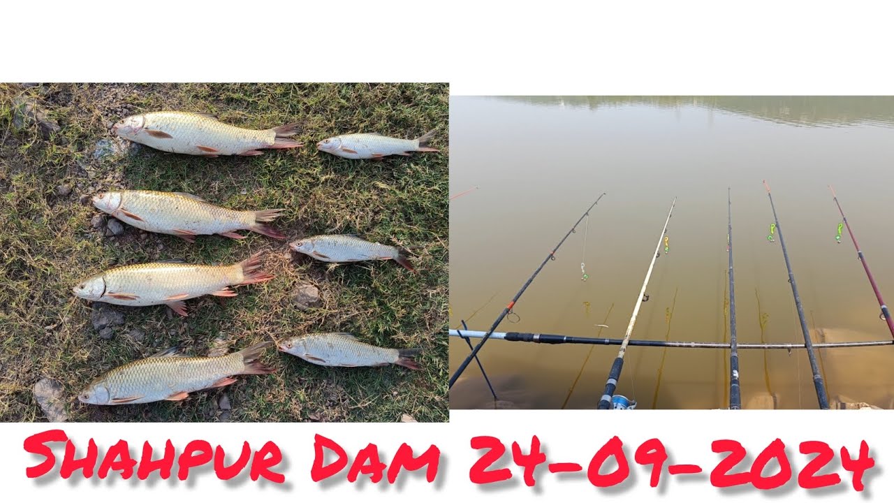 Shahpur Dam Update | 24-09-2024 | Hot weather