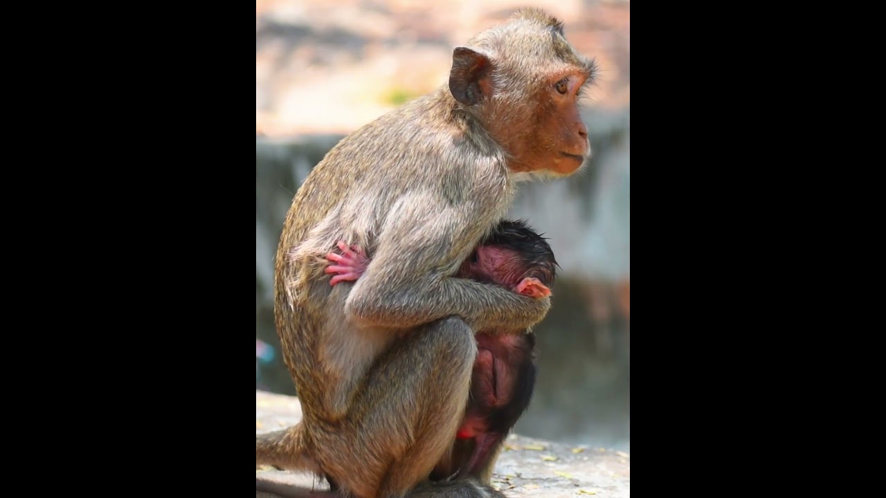 Youngest mom really love her baby