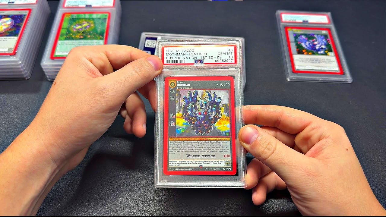 Metazoo Kickstarter PSA Return!!
