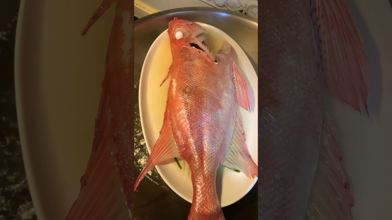 Steamed Fish 
