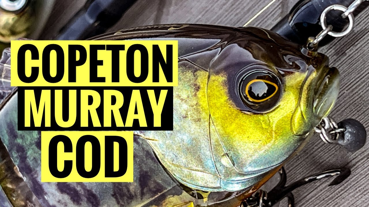 COPETON MURRAY COD