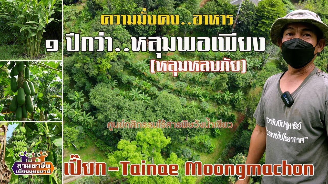 สร้าง..ความมั่งคง-อาหาร 