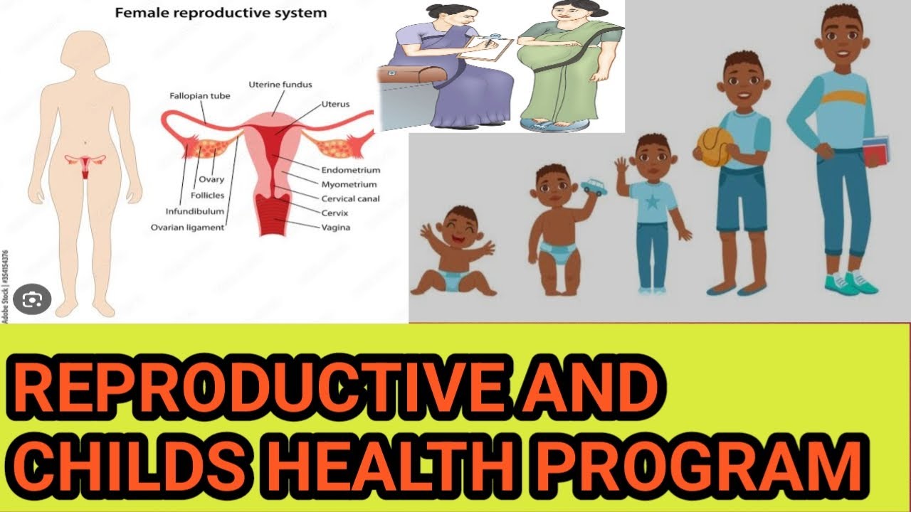 What Is Reproductive And Child Health Program | RCH Program kiye hei |