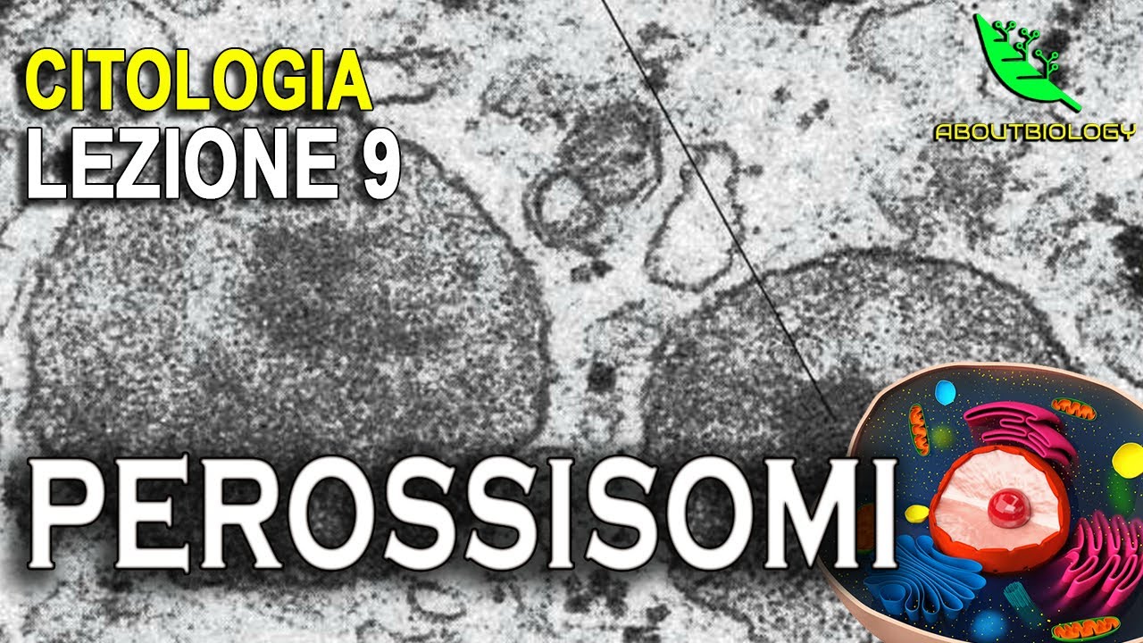 I PEROSSISOMI -Citologia Lezione 9