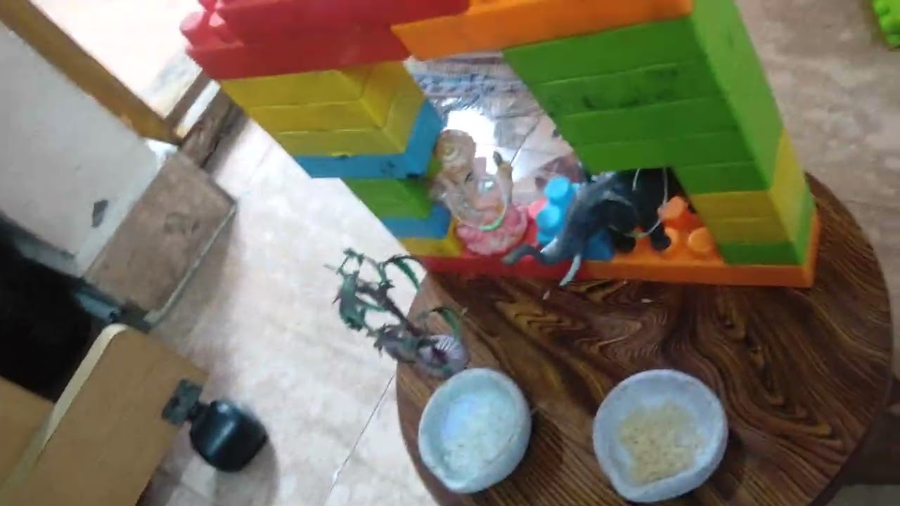 Toy Temple Created by Kavidarani Kedarani