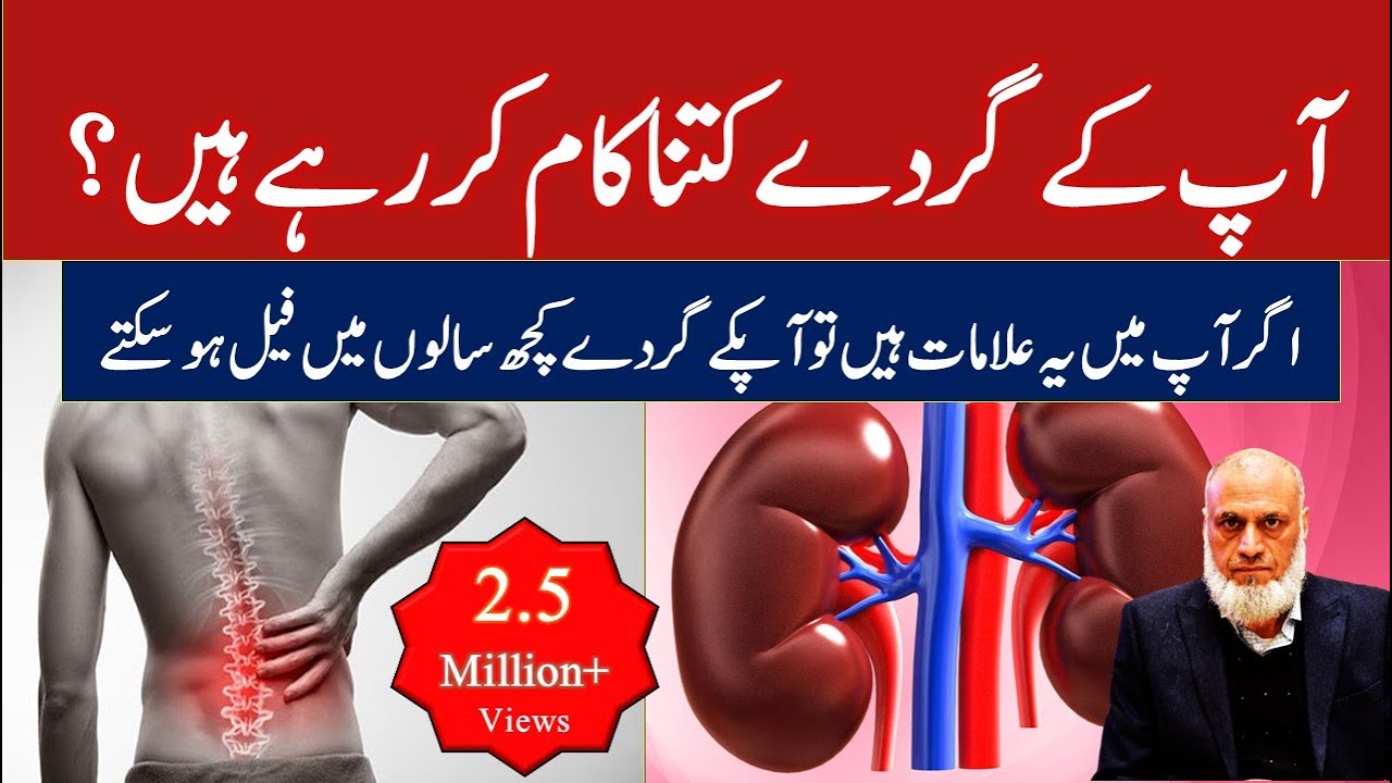 11 Warning Signs your Kidneys are in Danger | Lecture 93