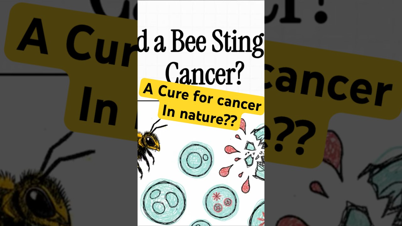 Could a bee sting fight cancer?! 