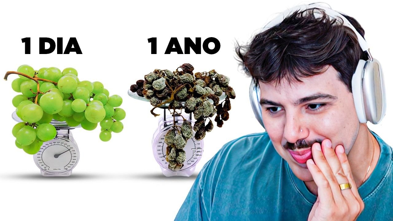 Nunca Coma Frutas Depois de 1 Ano Fora da Geladeira